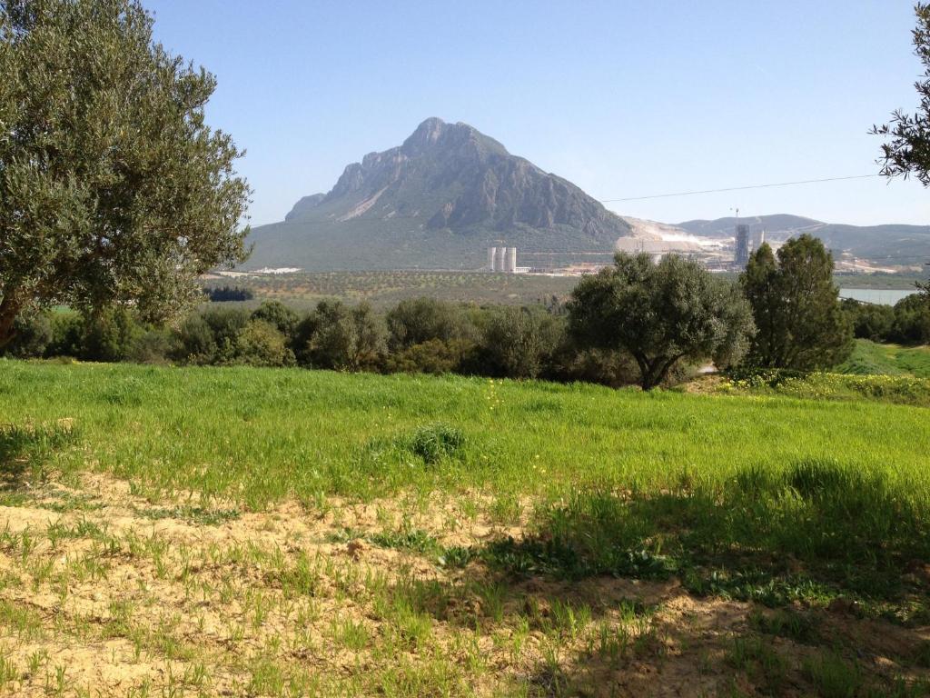 Dar Salima Bed and Breakfast Mornag Buitenkant foto