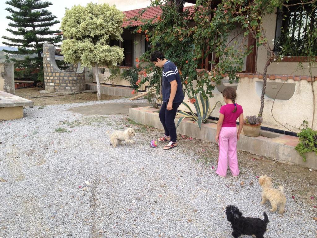 Dar Salima Bed and Breakfast Mornag Buitenkant foto