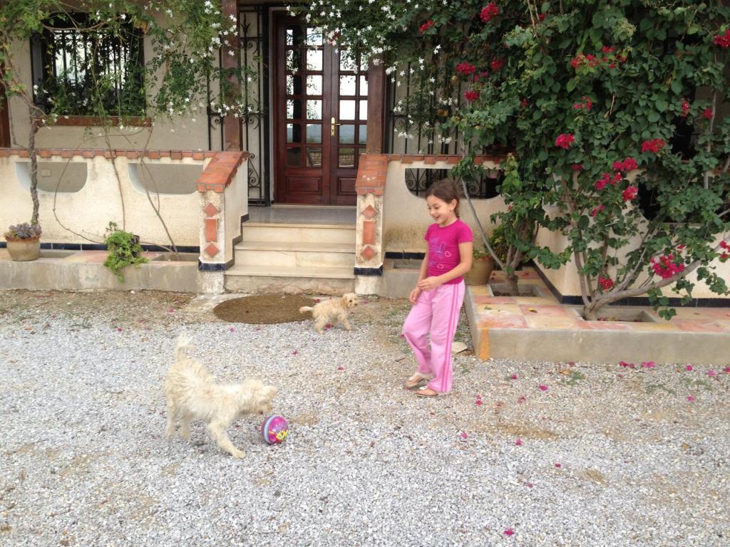 Dar Salima Bed and Breakfast Mornag Buitenkant foto